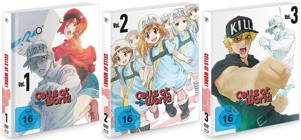 Cells at Work! - Vol.1-3 - Episoden 1-14 - DVD + Blu-Ray